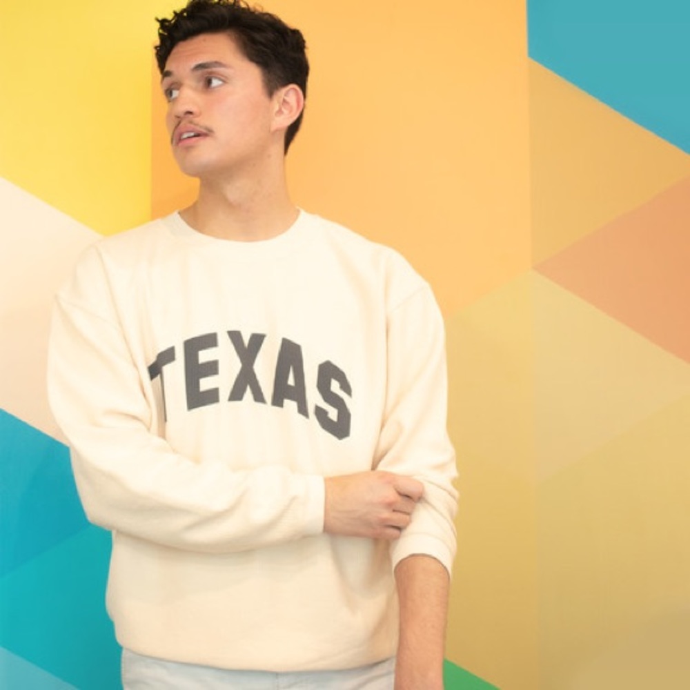 Beige Crew Neck Sweater with Texas Print - Picture 4 of 4